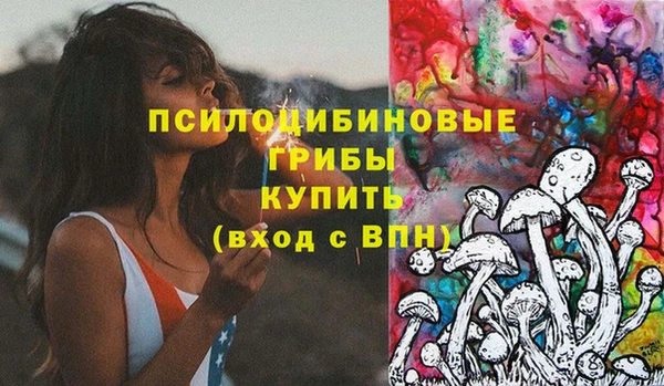 винт Дмитров