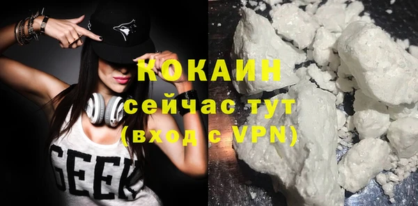 твердый Кулебаки