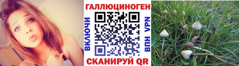 Псилоцибиновые грибы прущие грибы  Никольское 